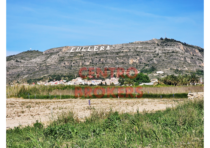 Ziemia rolna - grunt rolny w Cullera, Walencja